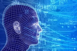 199it 发现互联网数据的价值